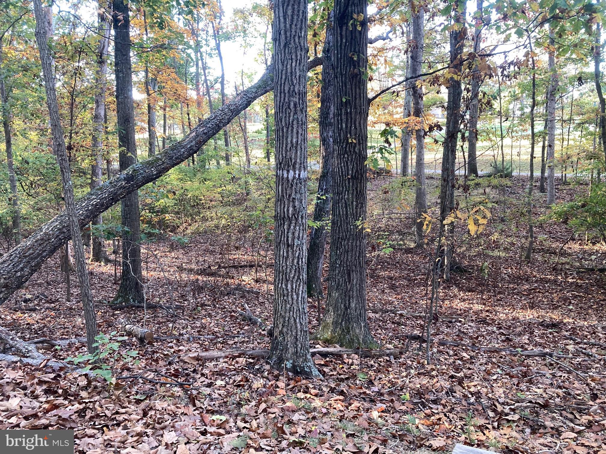 ROLLING ACRES - Residential