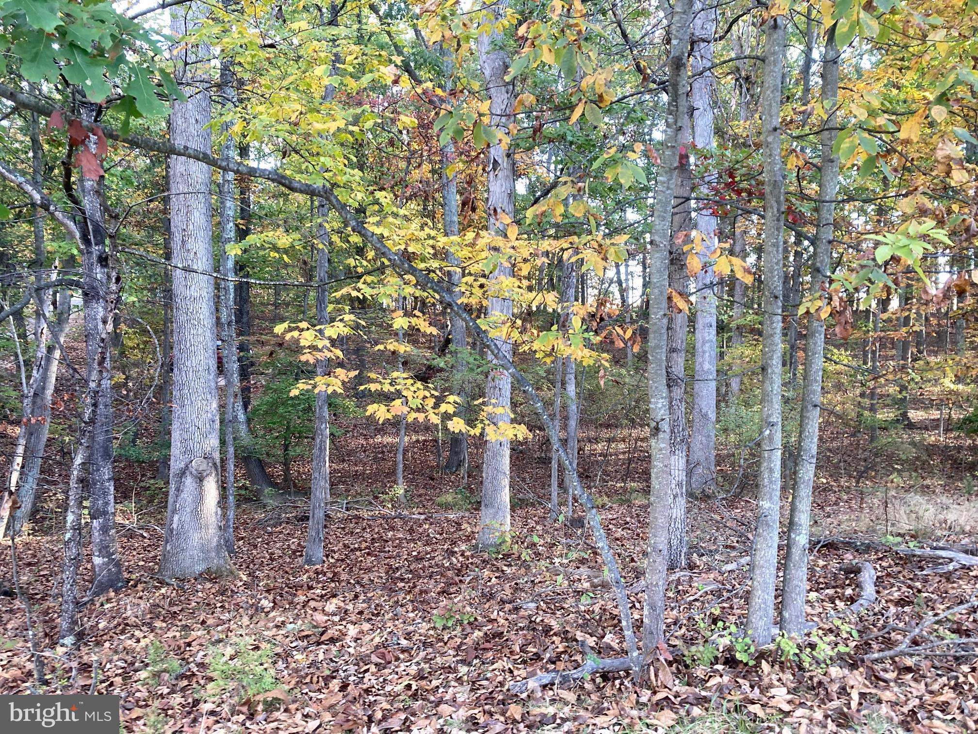 ROLLING ACRES - Residential