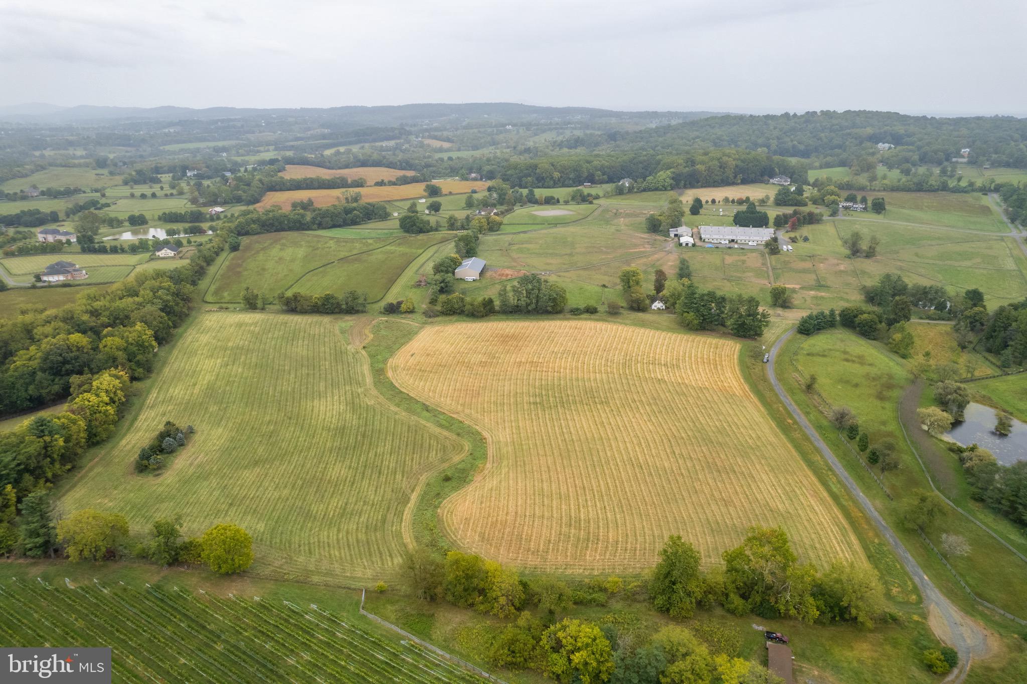 20.17 Acres HEDGELAND LANE
