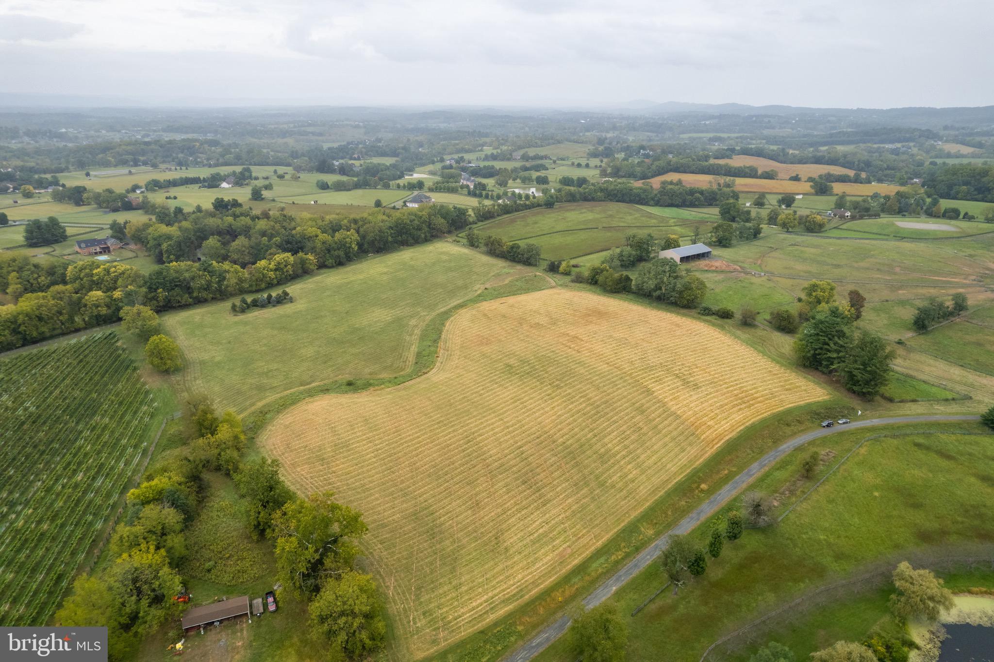 20.17 Acres HEDGELAND LANE