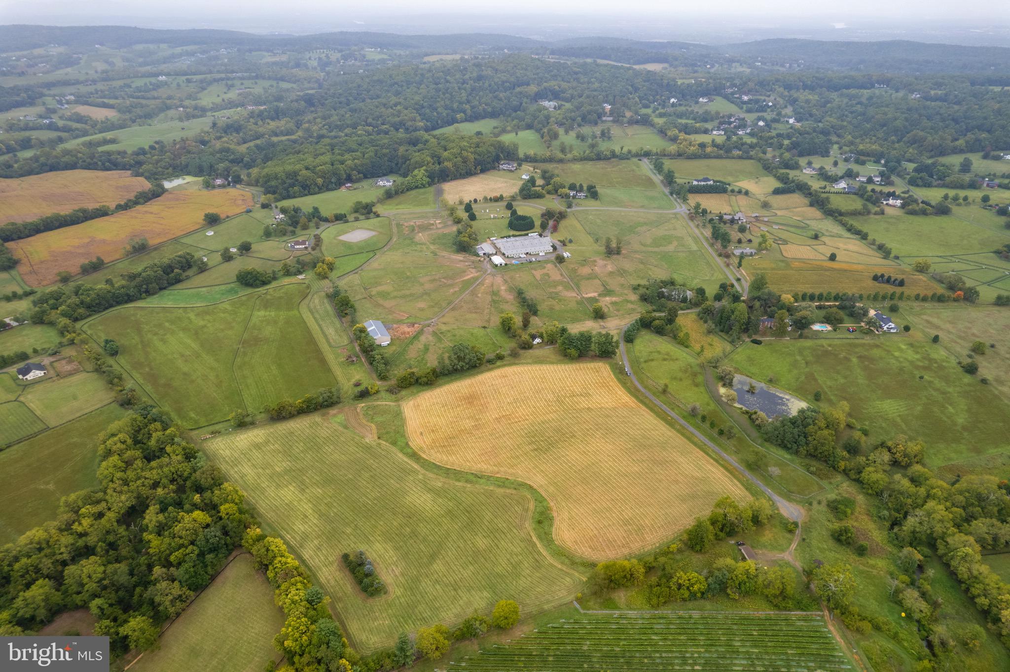 20.17 Acres HEDGELAND LANE