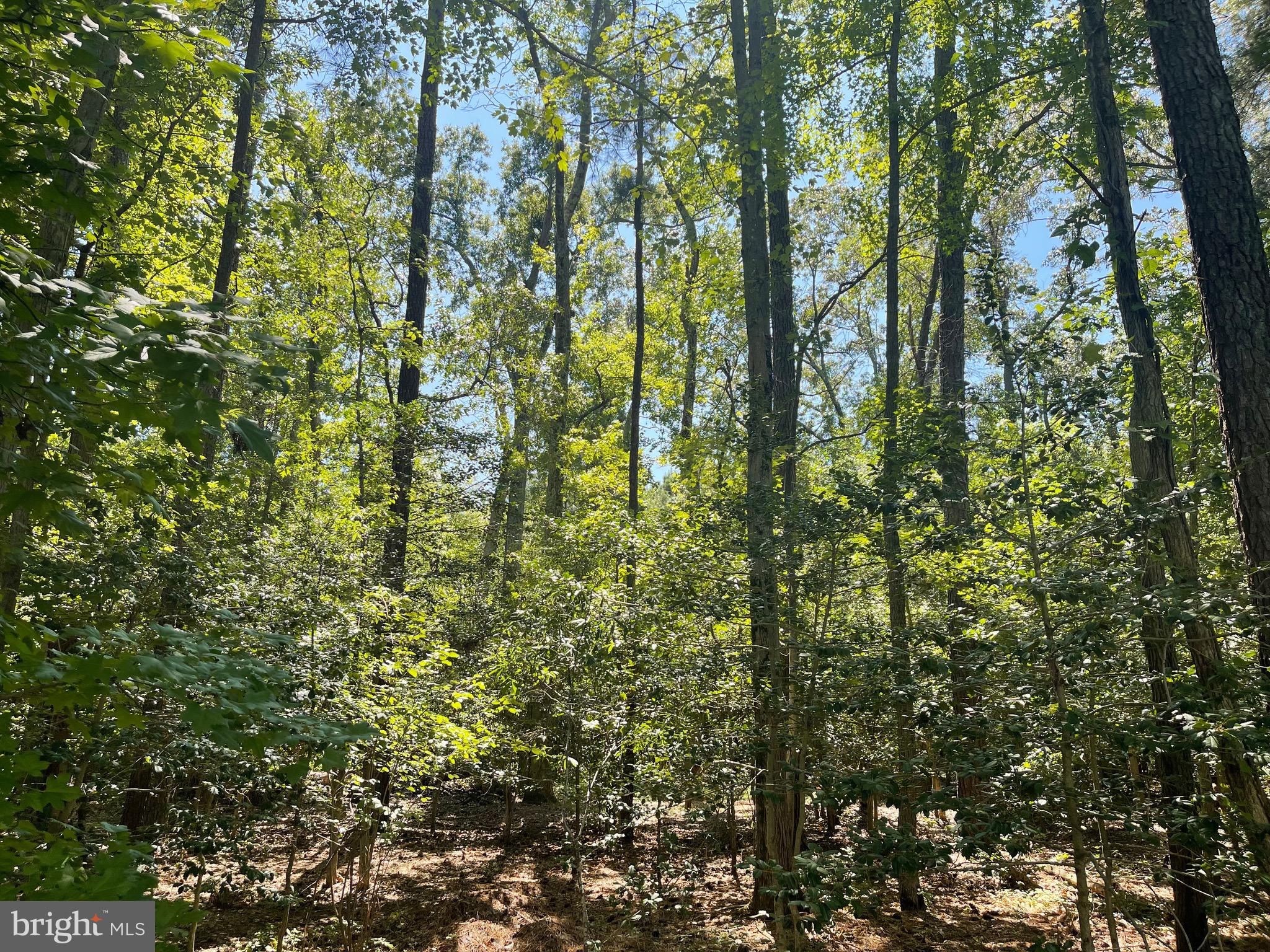 224 WICOMICO ROAD