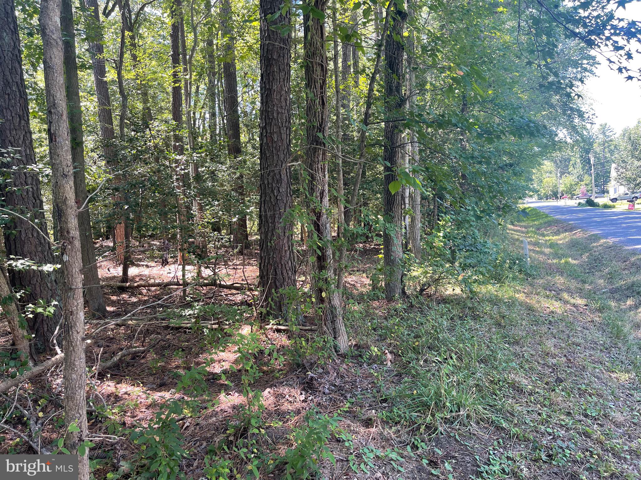 KENT ISLAND ESTATES - Land