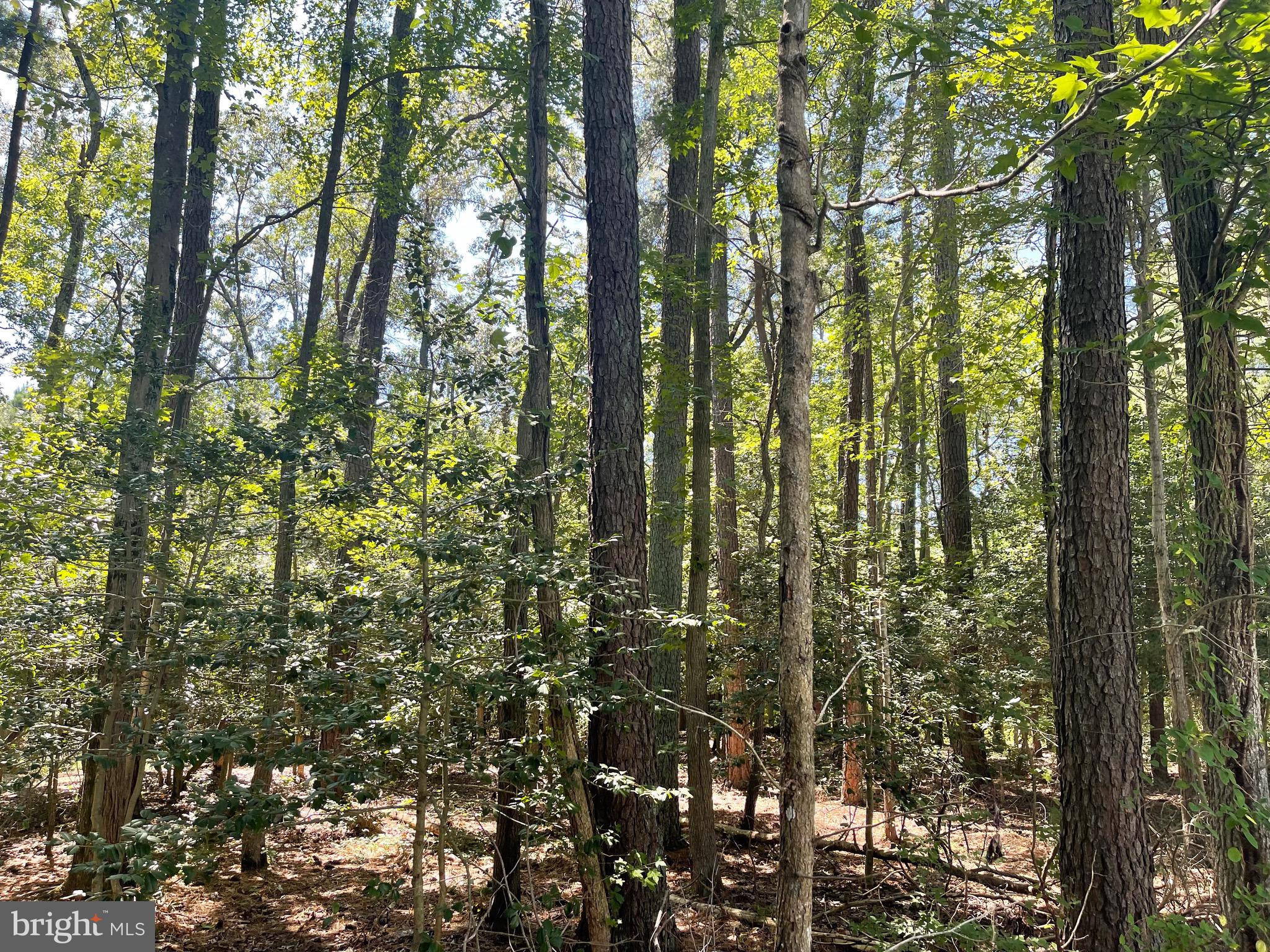 224 WICOMICO ROAD