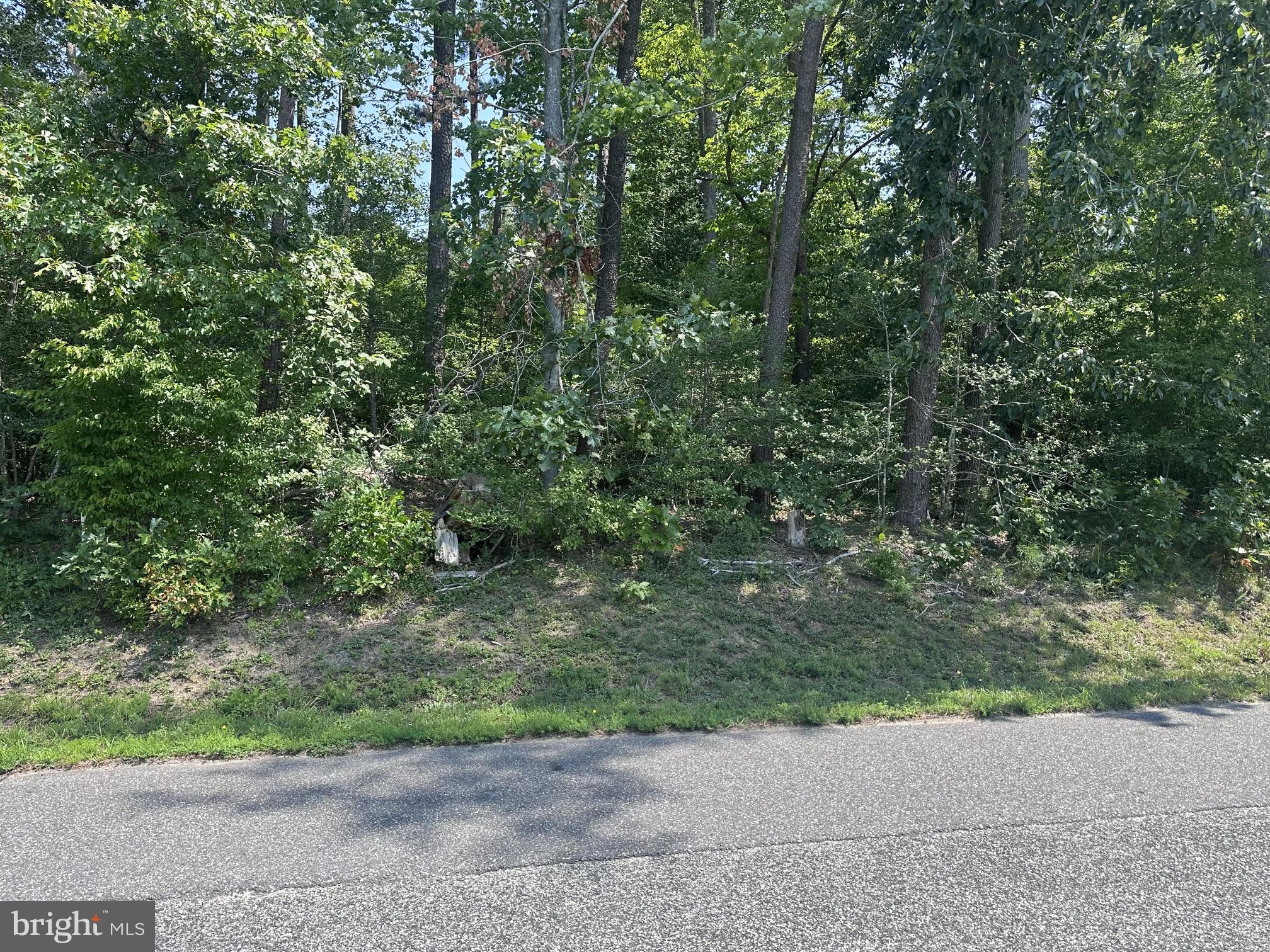 LOT 20 ISLAND POINT ROAD