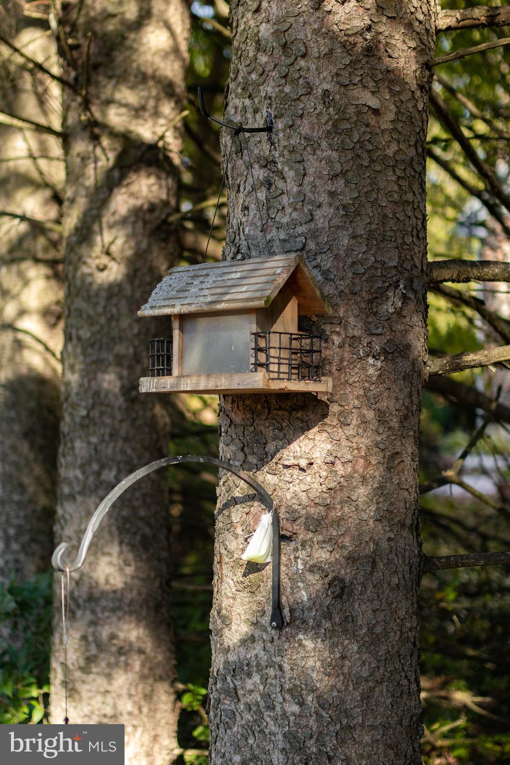 DALEVUE - Residential