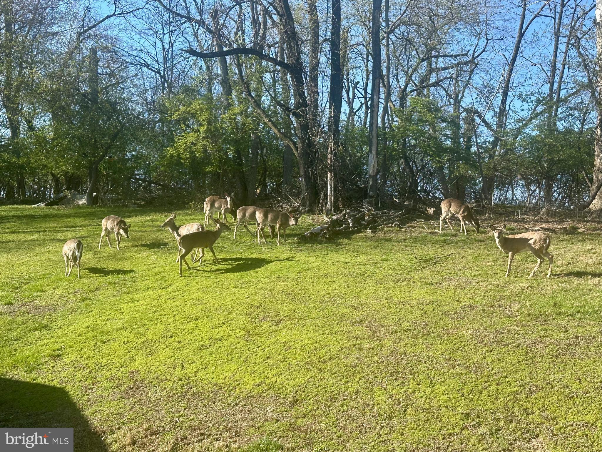 ROLLING GREEN - Residential