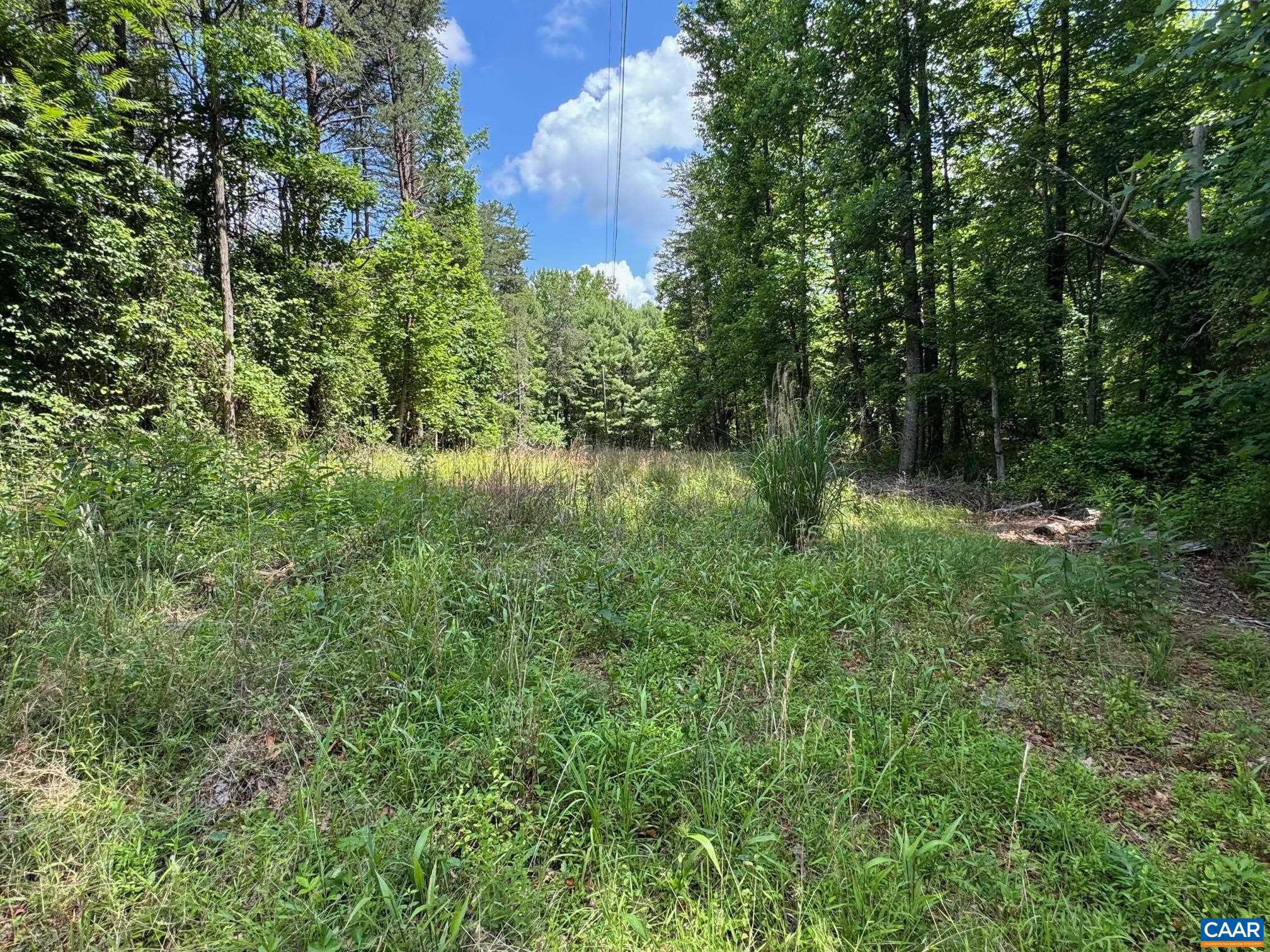 NONE AVAILABLE - Land