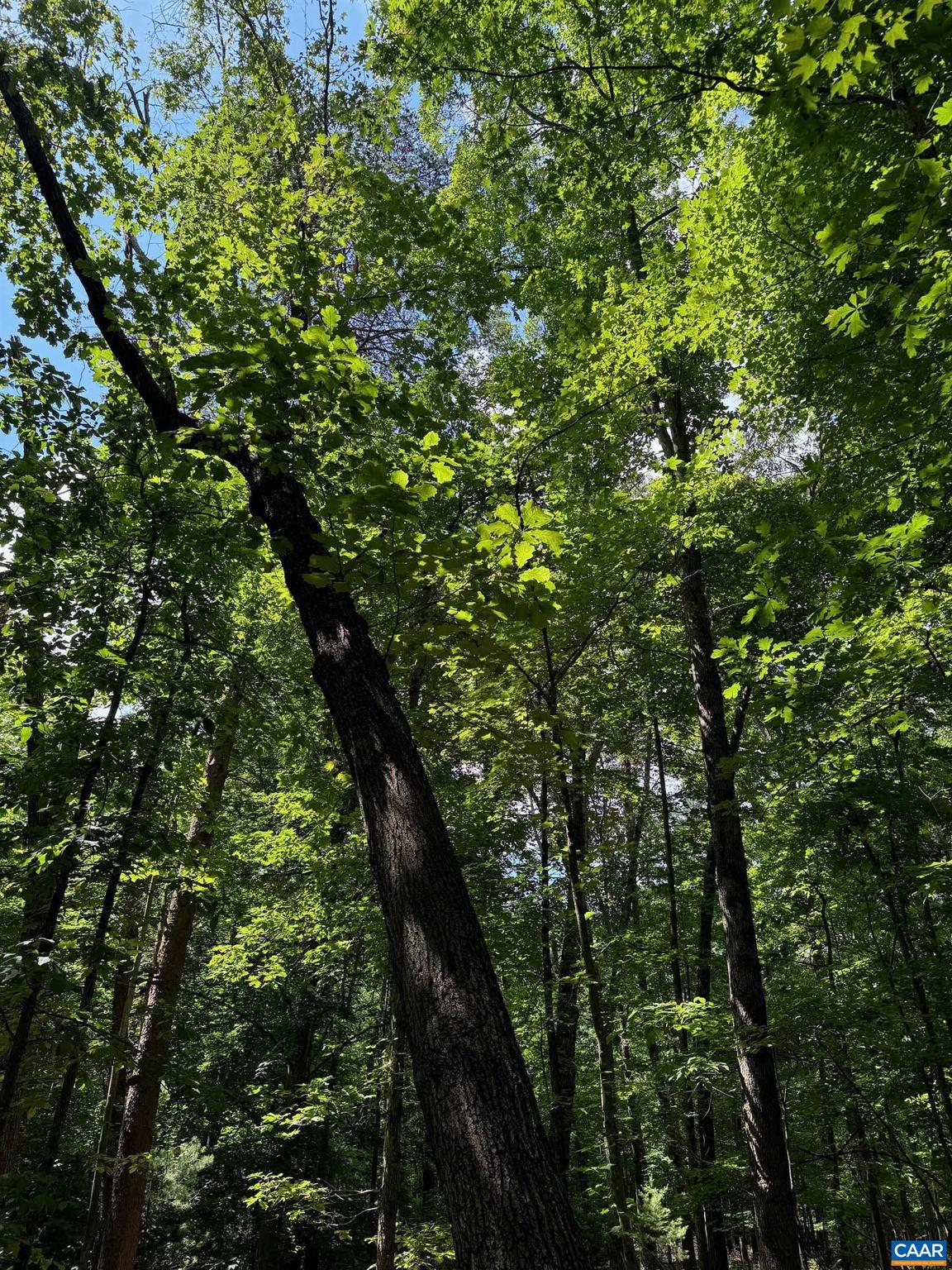 NONE AVAILABLE - Land