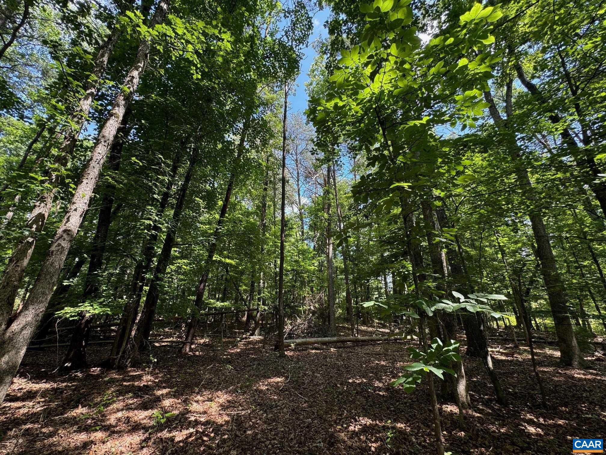 NONE AVAILABLE - Land