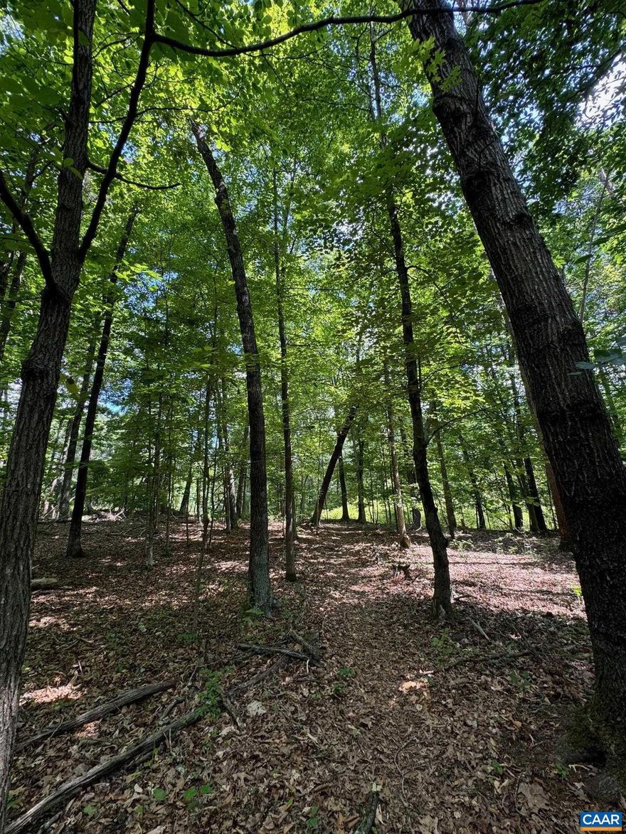 Gorgeous private 3.86 acre building lot located in Western Albemarle off of Garth Rd. Parcel featured mature timber, privacy, and is within minutes of UVA and Charlottesville as well as Crozet.  Electric in place and parcel is part of a charming country subdivision.