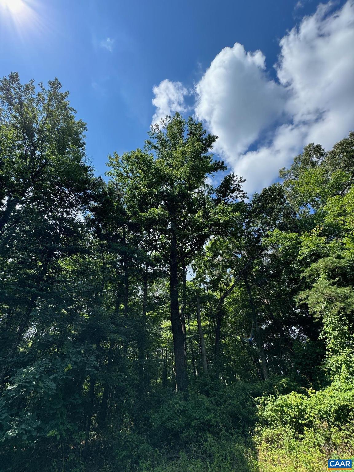 NONE AVAILABLE - Land