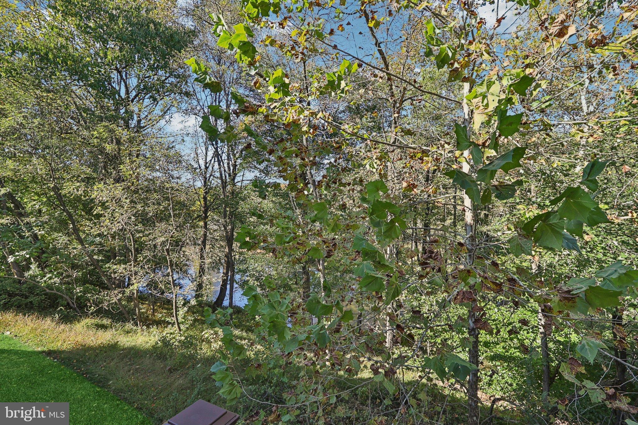 WOODMORE-RESUB-PLAT 5> - Residential