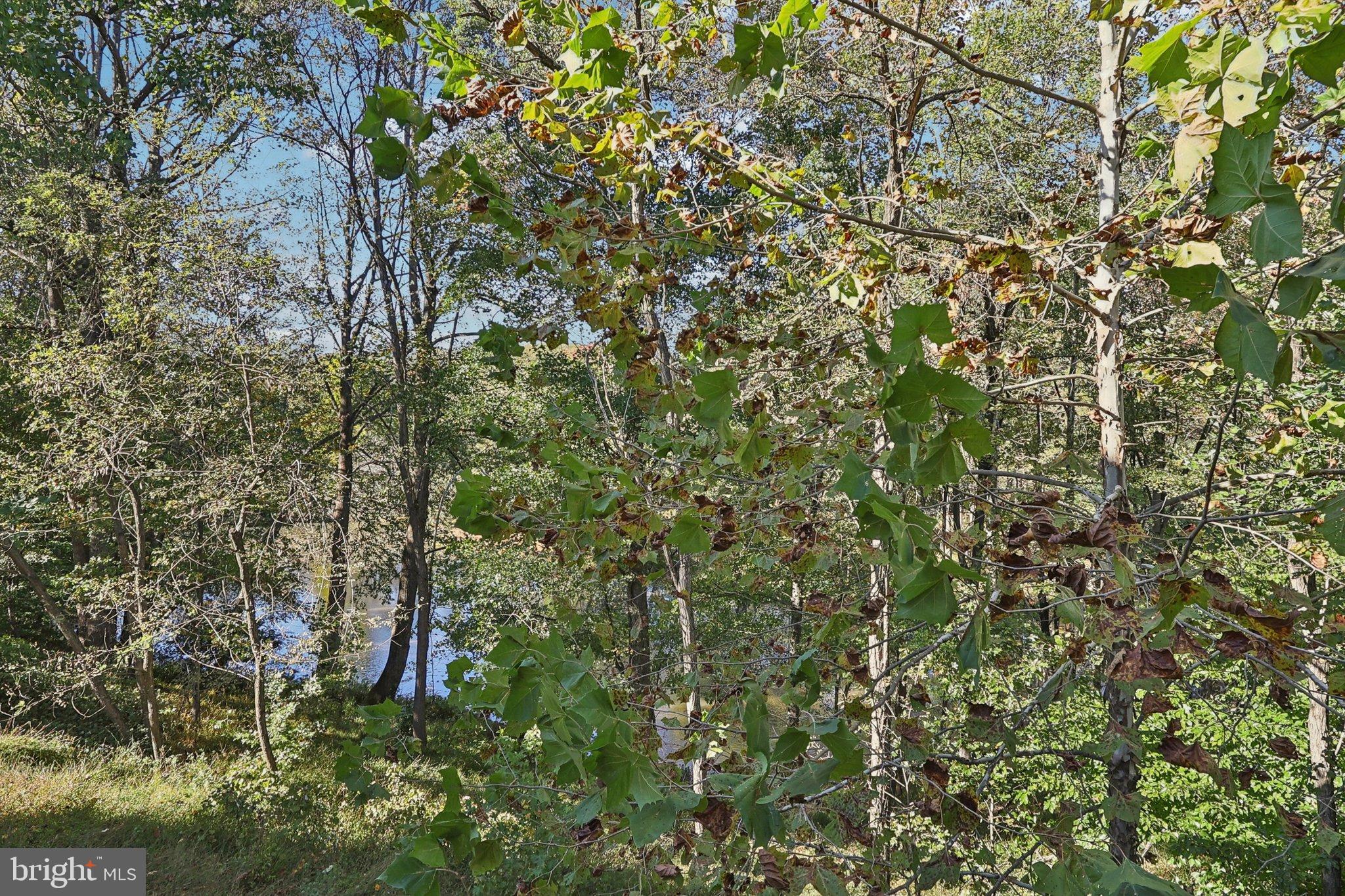 WOODMORE-RESUB-PLAT 5> - Residential