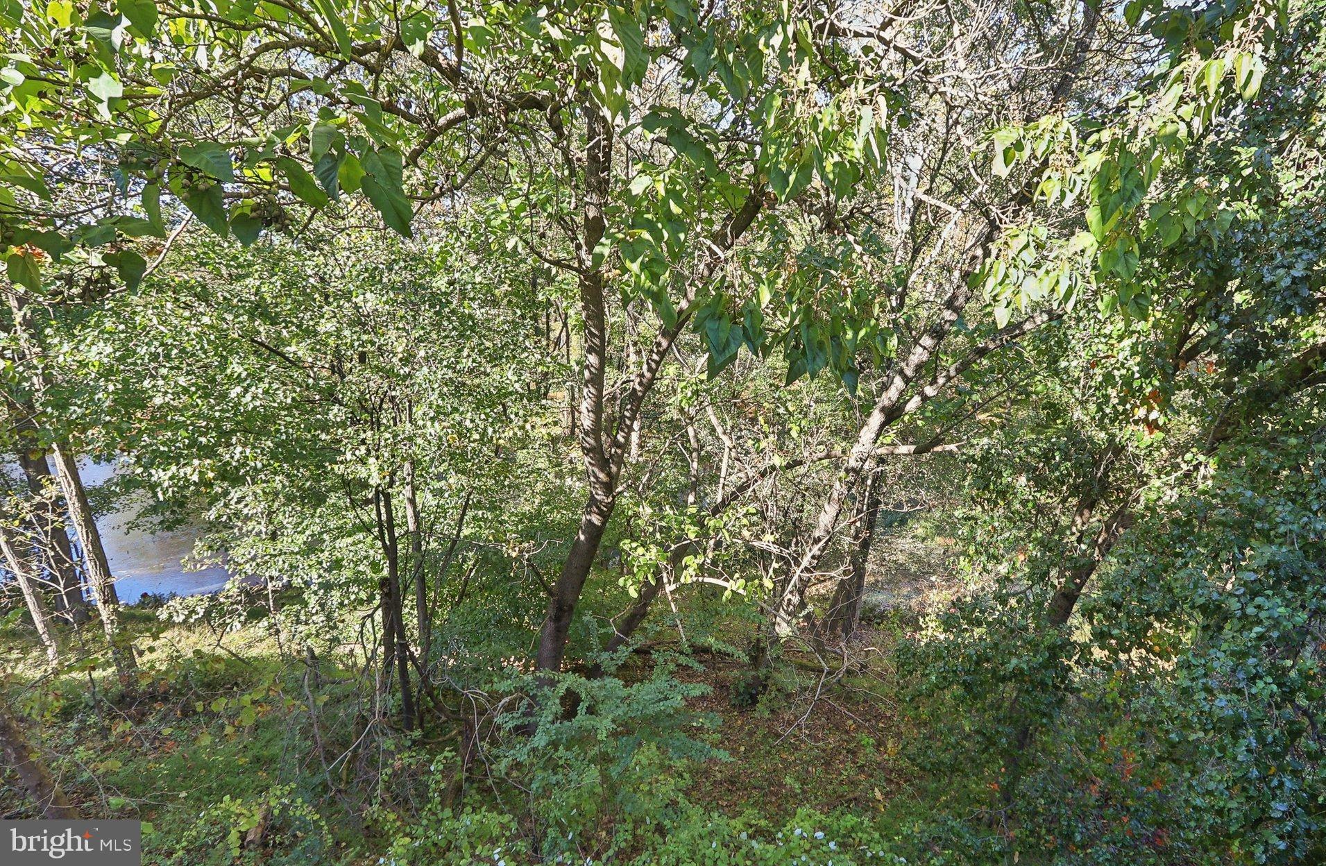 WOODMORE-RESUB-PLAT 5> - Residential