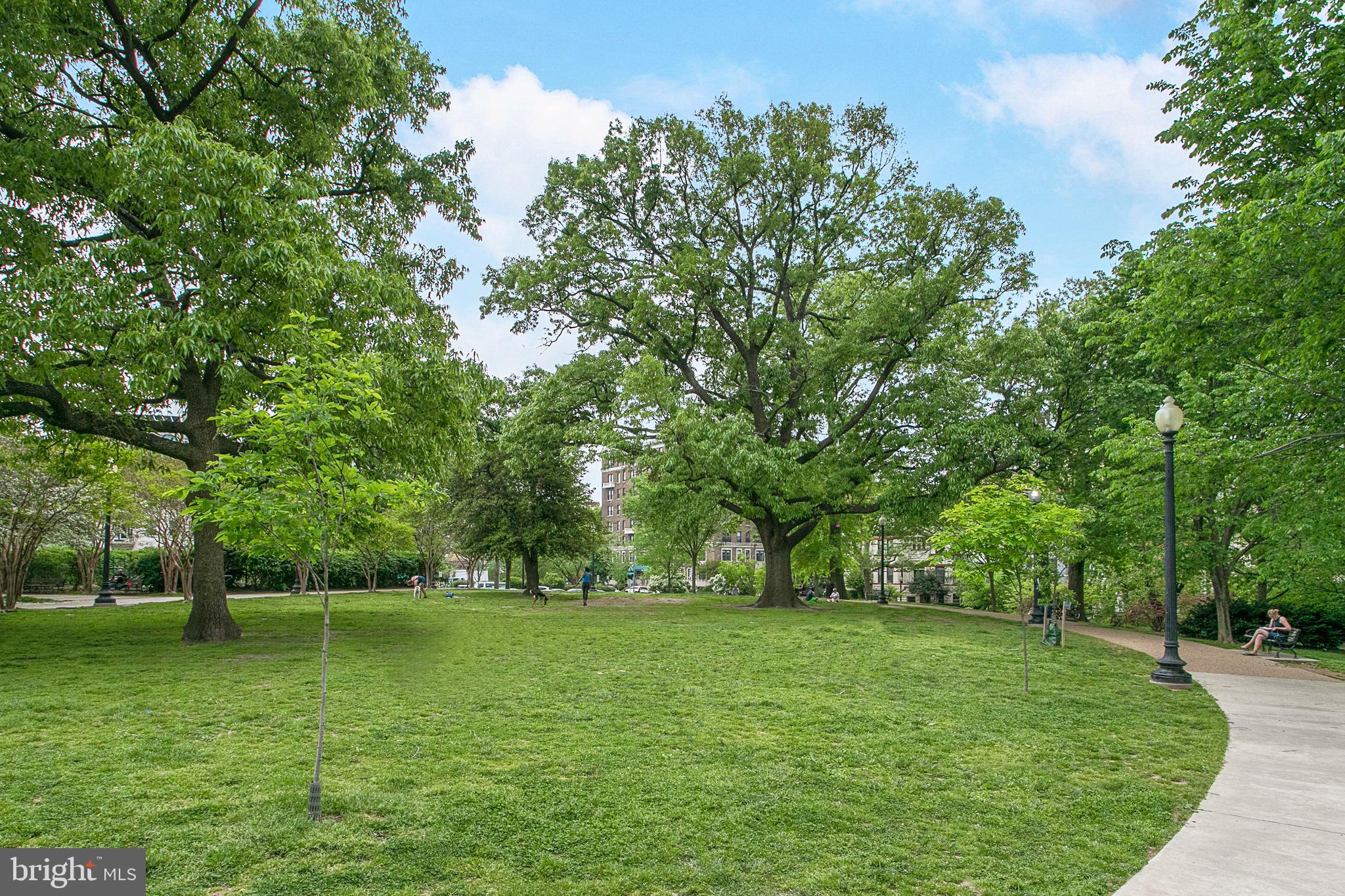 KALORAMA HEIGHTS - Residential Income
