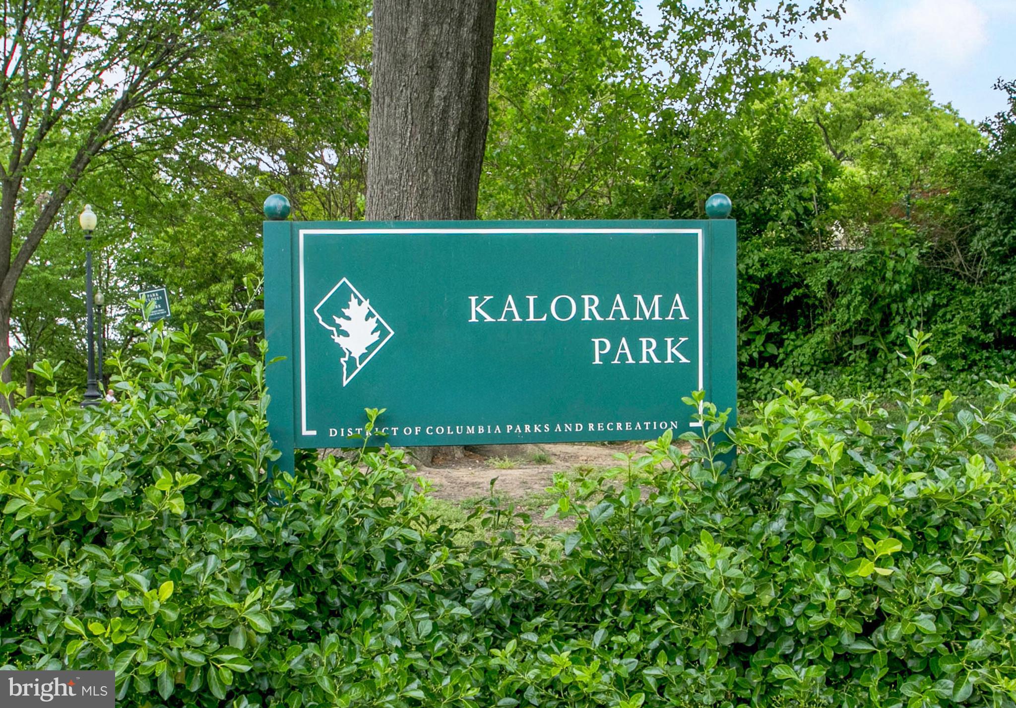 KALORAMA HEIGHTS - Residential Income