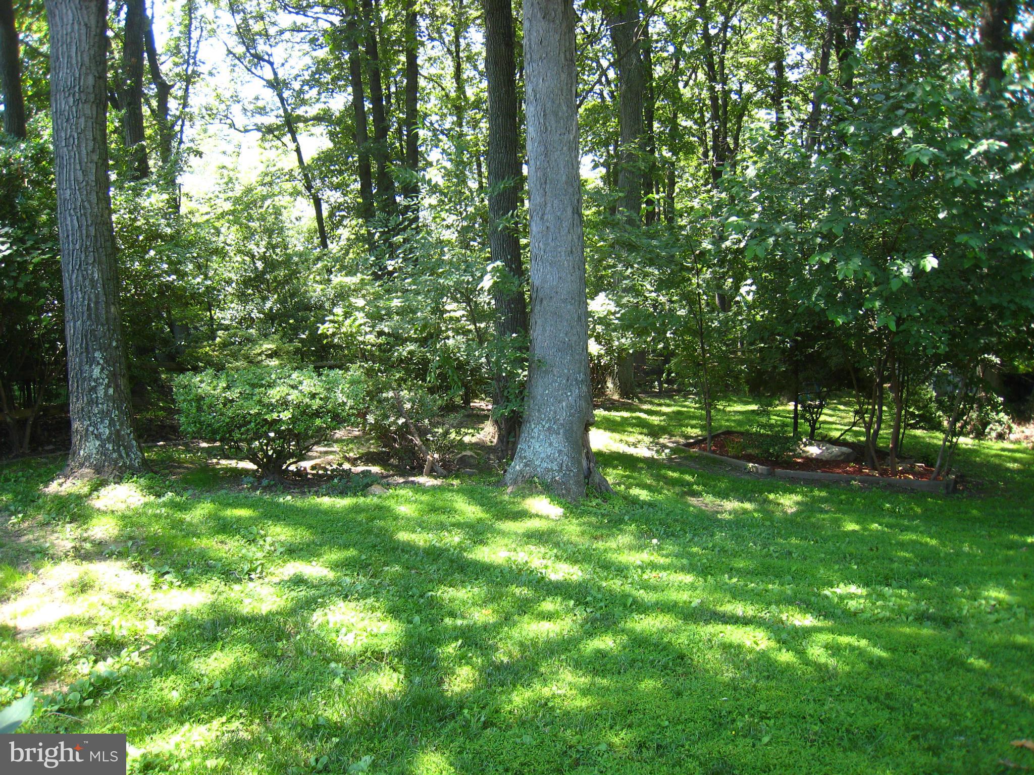 NANTUCKET - Residential Lease