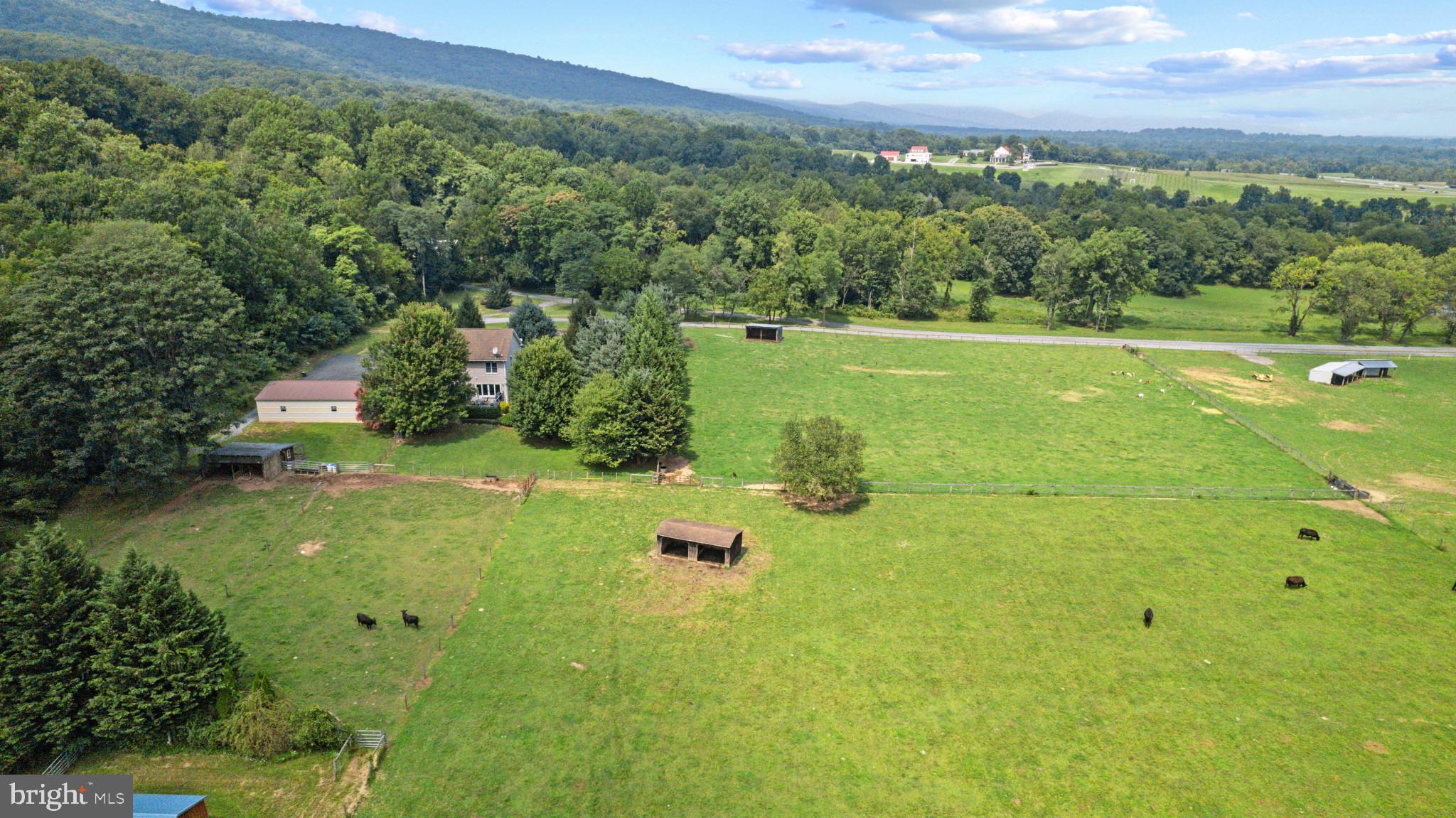 THURMONT - Residential