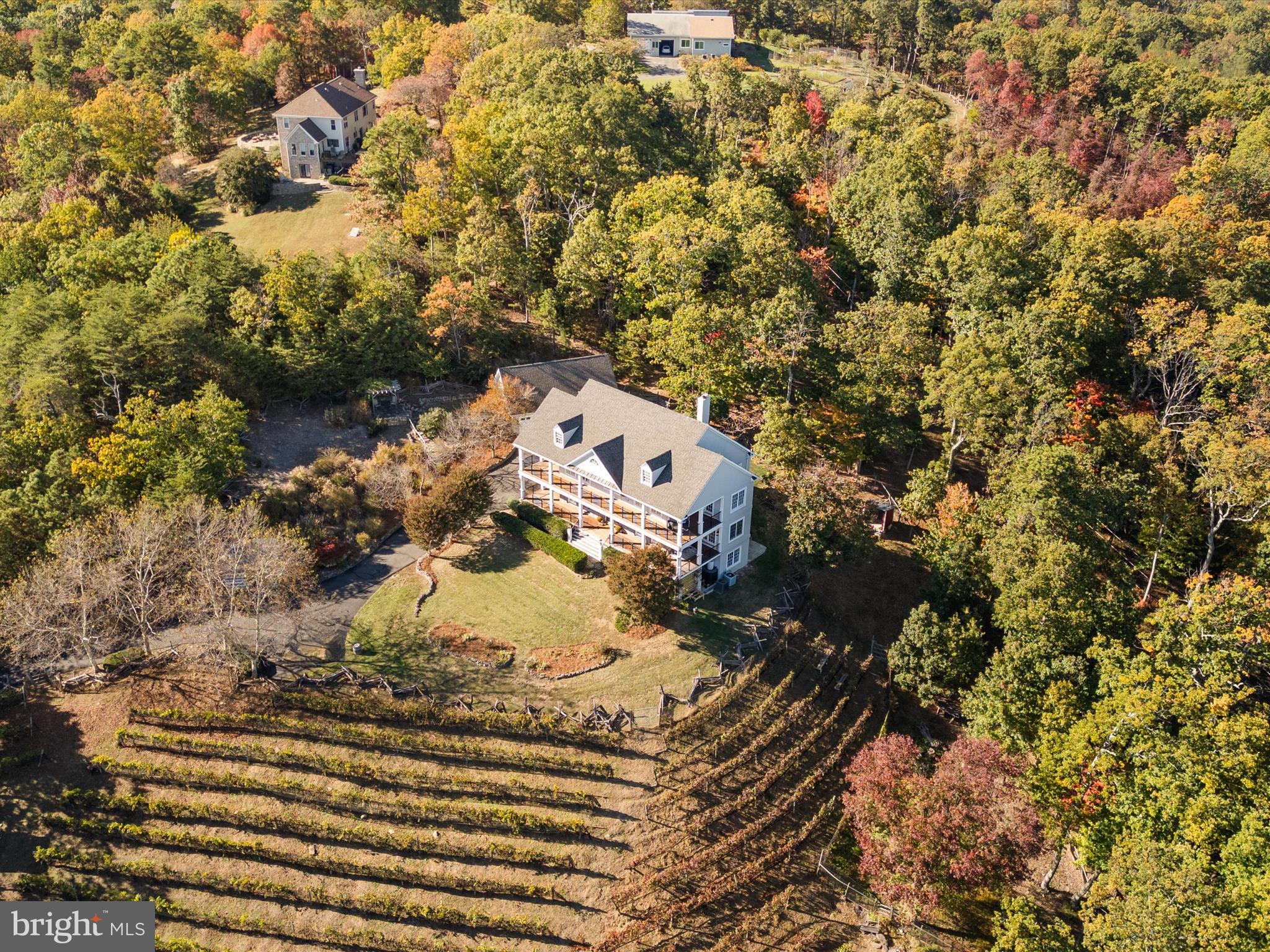 16994 STORMY DRIVE