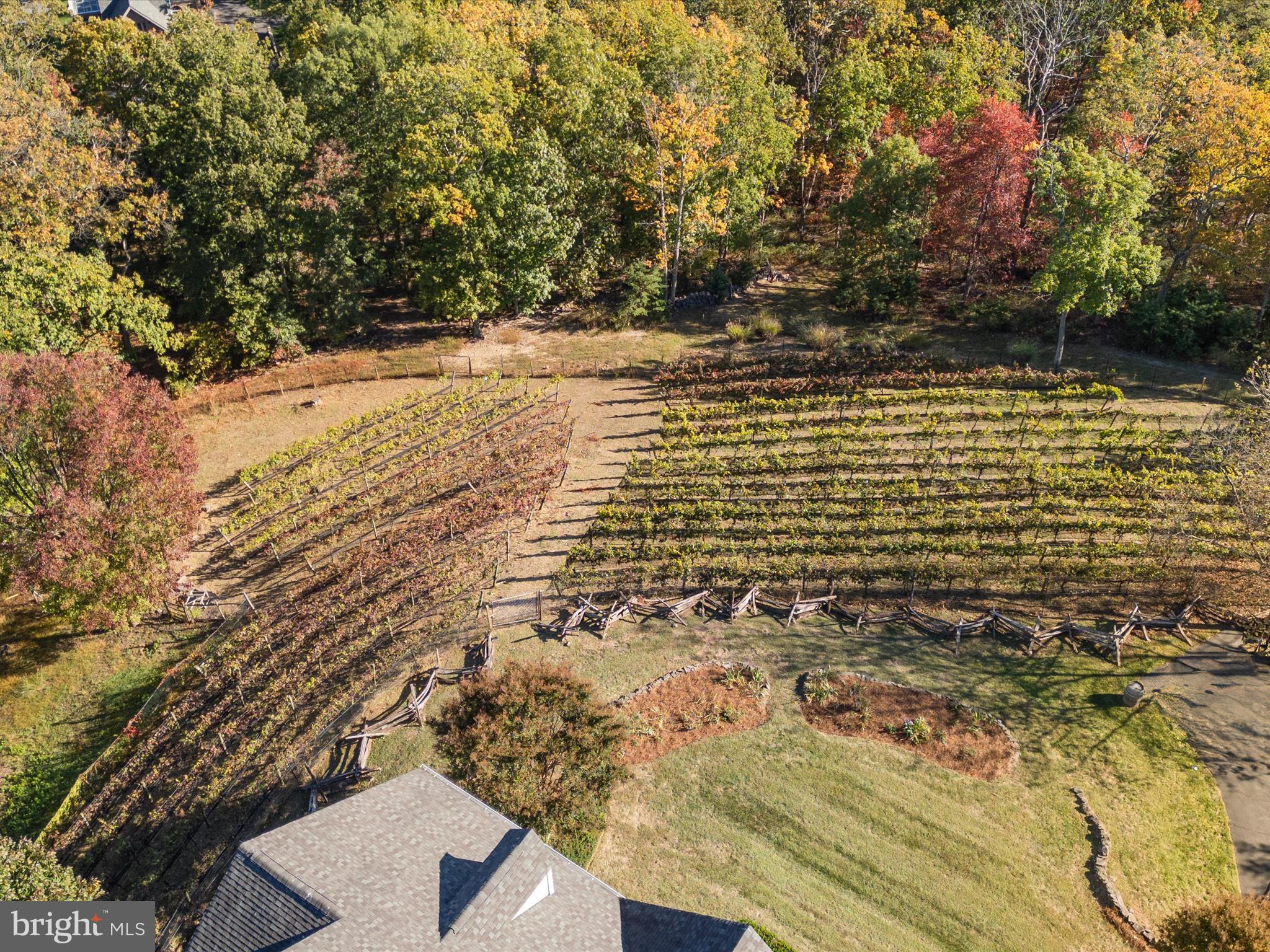 THUNDER OAK - Residential