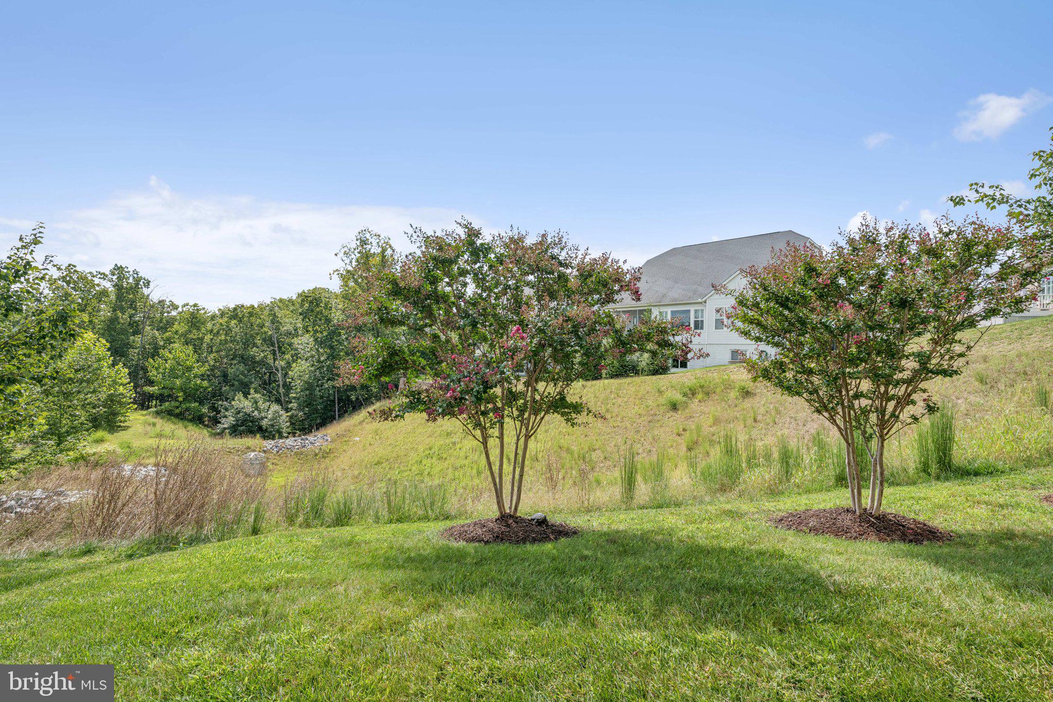 SHENANDOAH - Residential