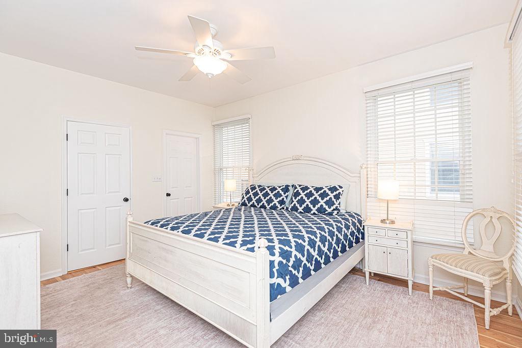 BEAR TRAP - Residential