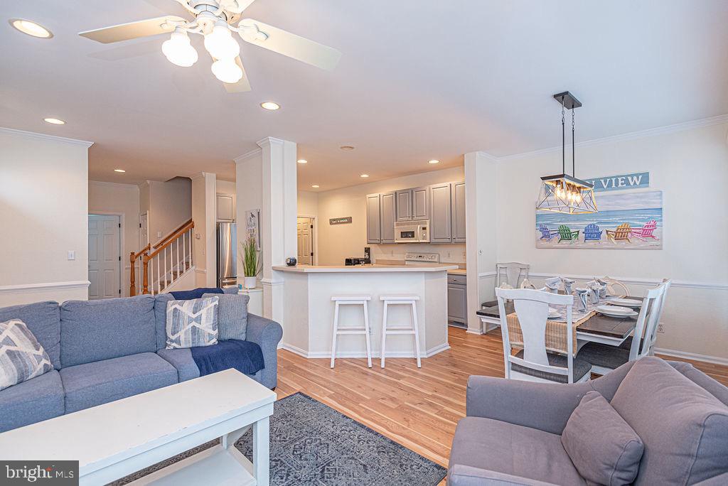 BEAR TRAP - Residential