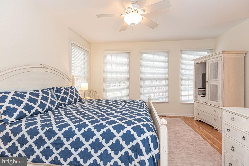 BEAR TRAP - Residential