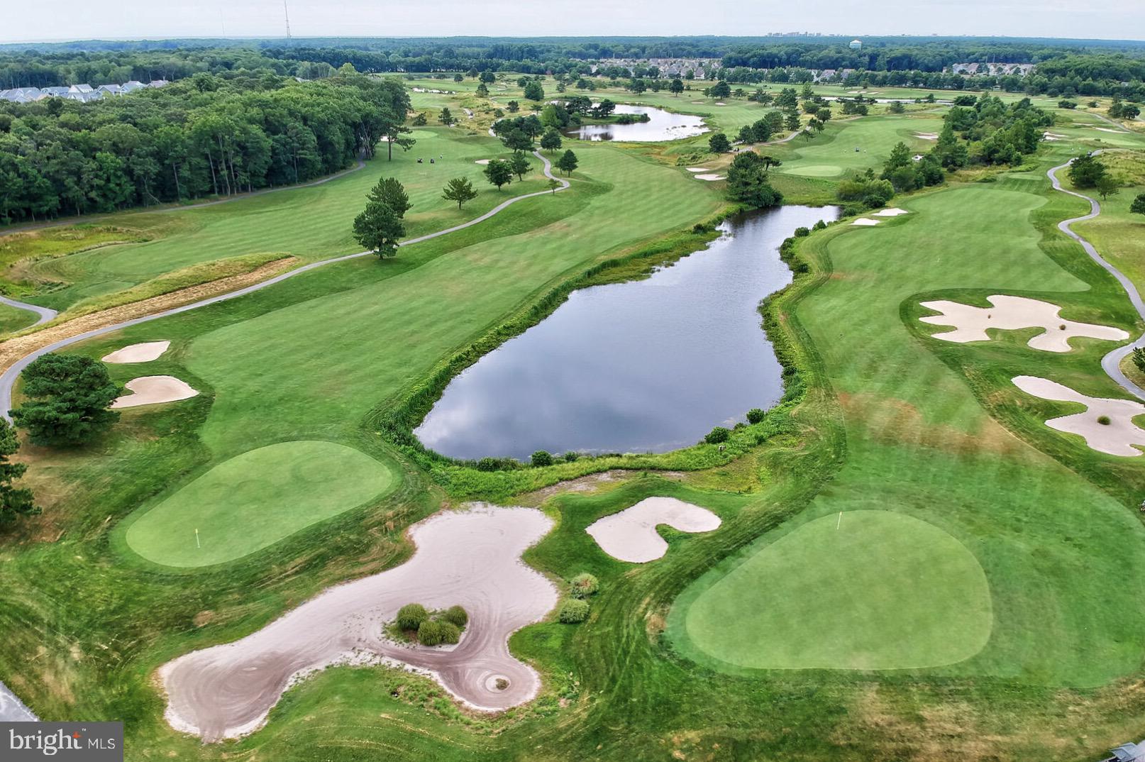 BEAR TRAP - Residential