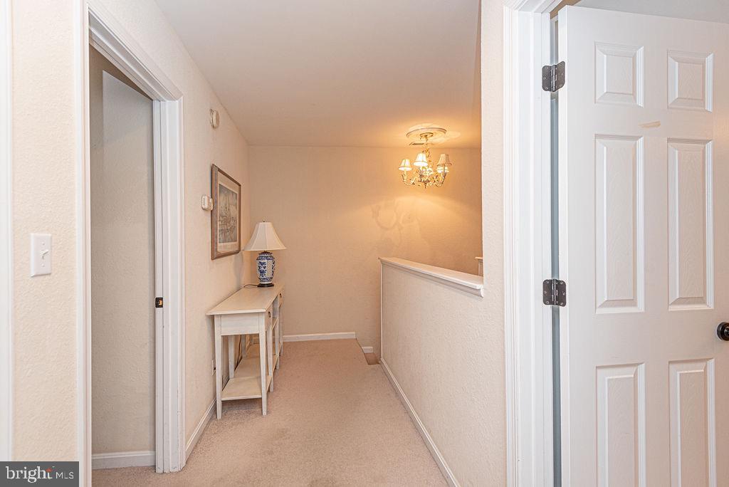 BEAR TRAP - Residential