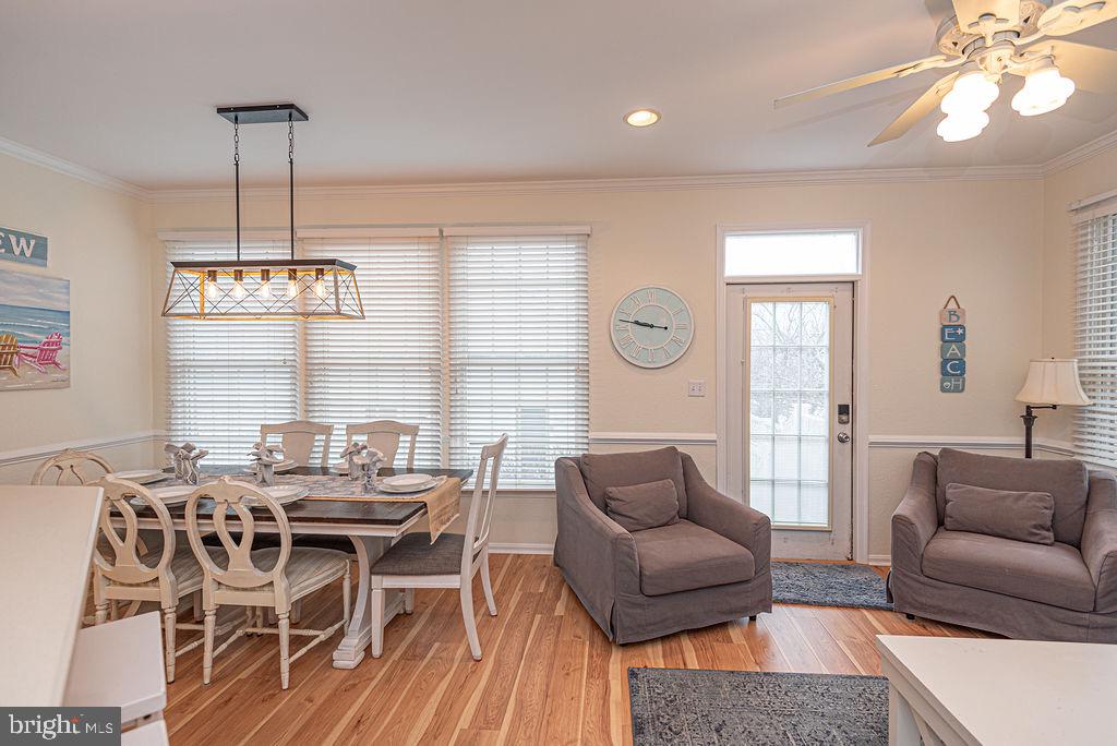 BEAR TRAP - Residential