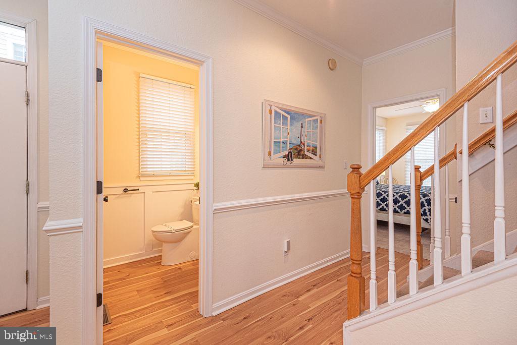 BEAR TRAP - Residential