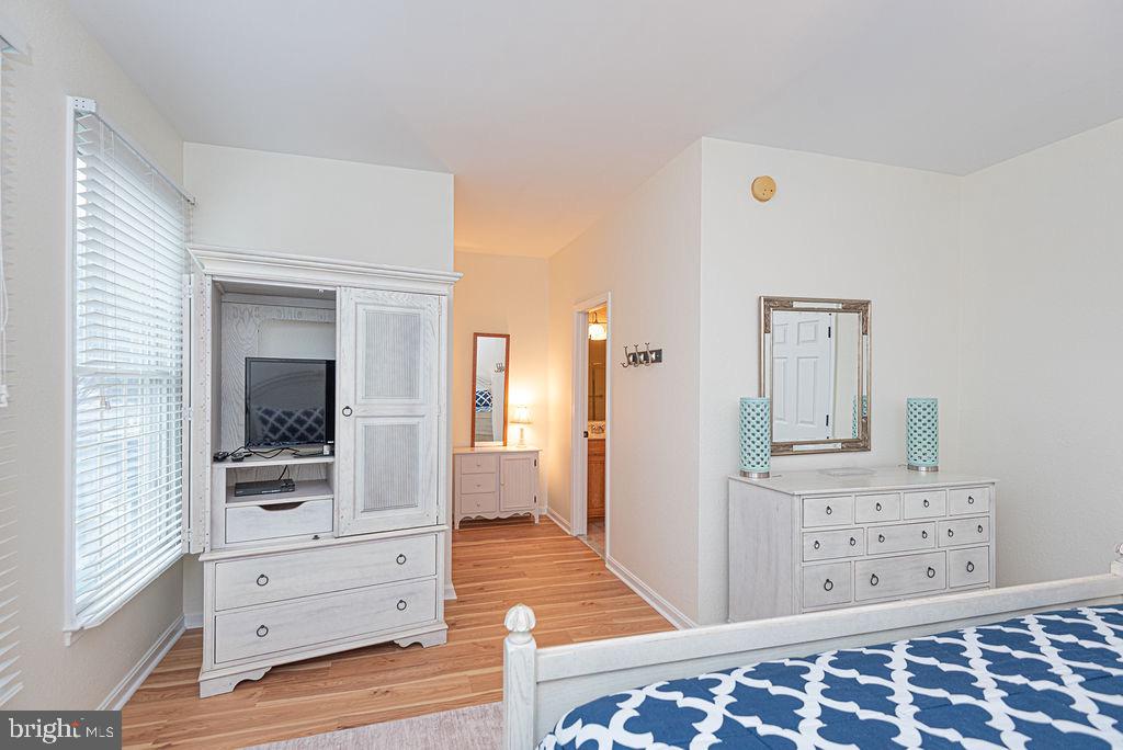 BEAR TRAP - Residential