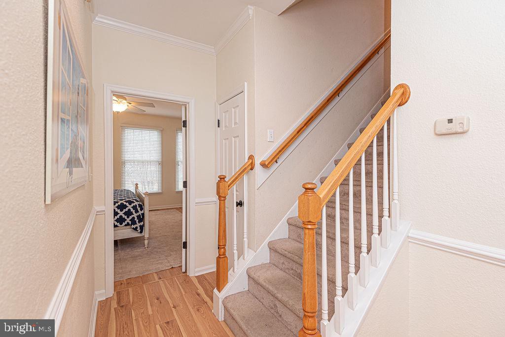 BEAR TRAP - Residential