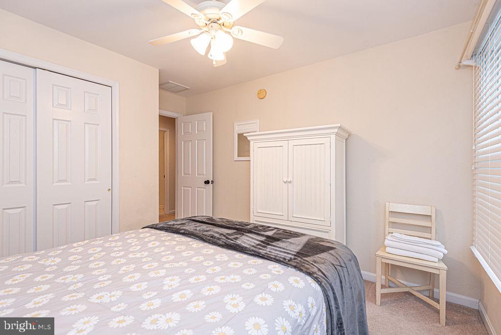 BEAR TRAP - Residential