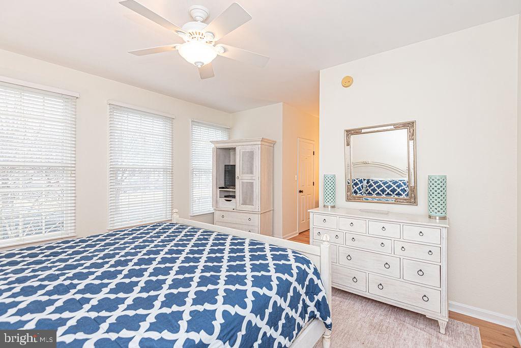 BEAR TRAP - Residential