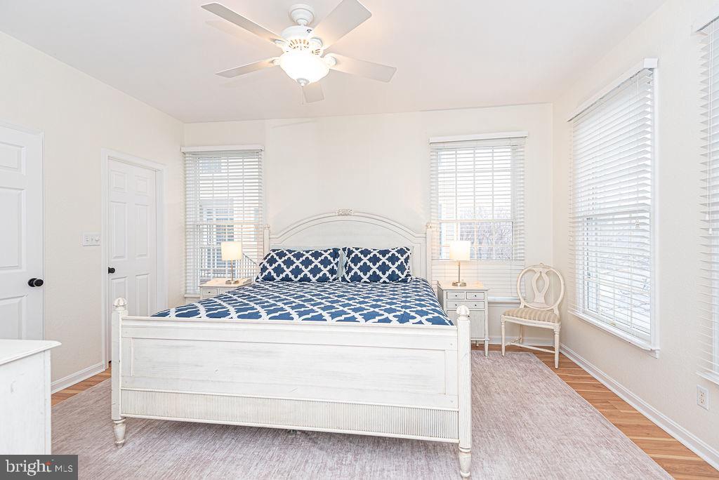 BEAR TRAP - Residential