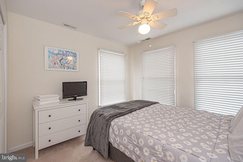 BEAR TRAP - Residential