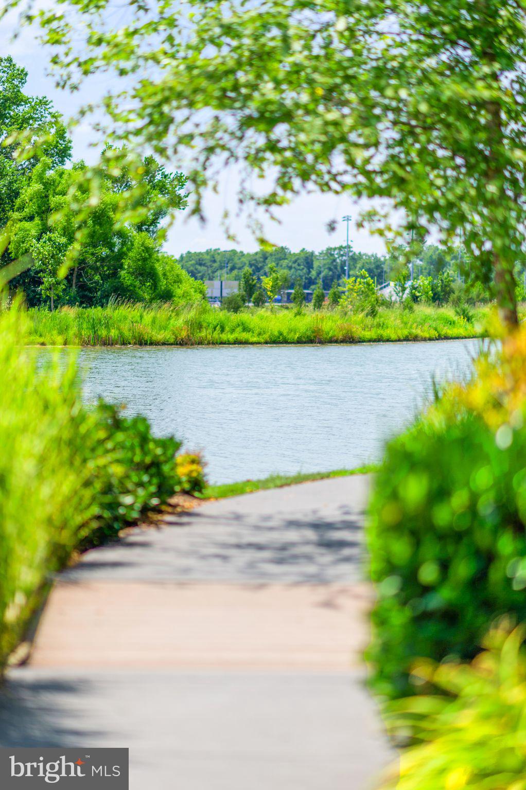 GROVE AT WILLOWSFORD - Residential