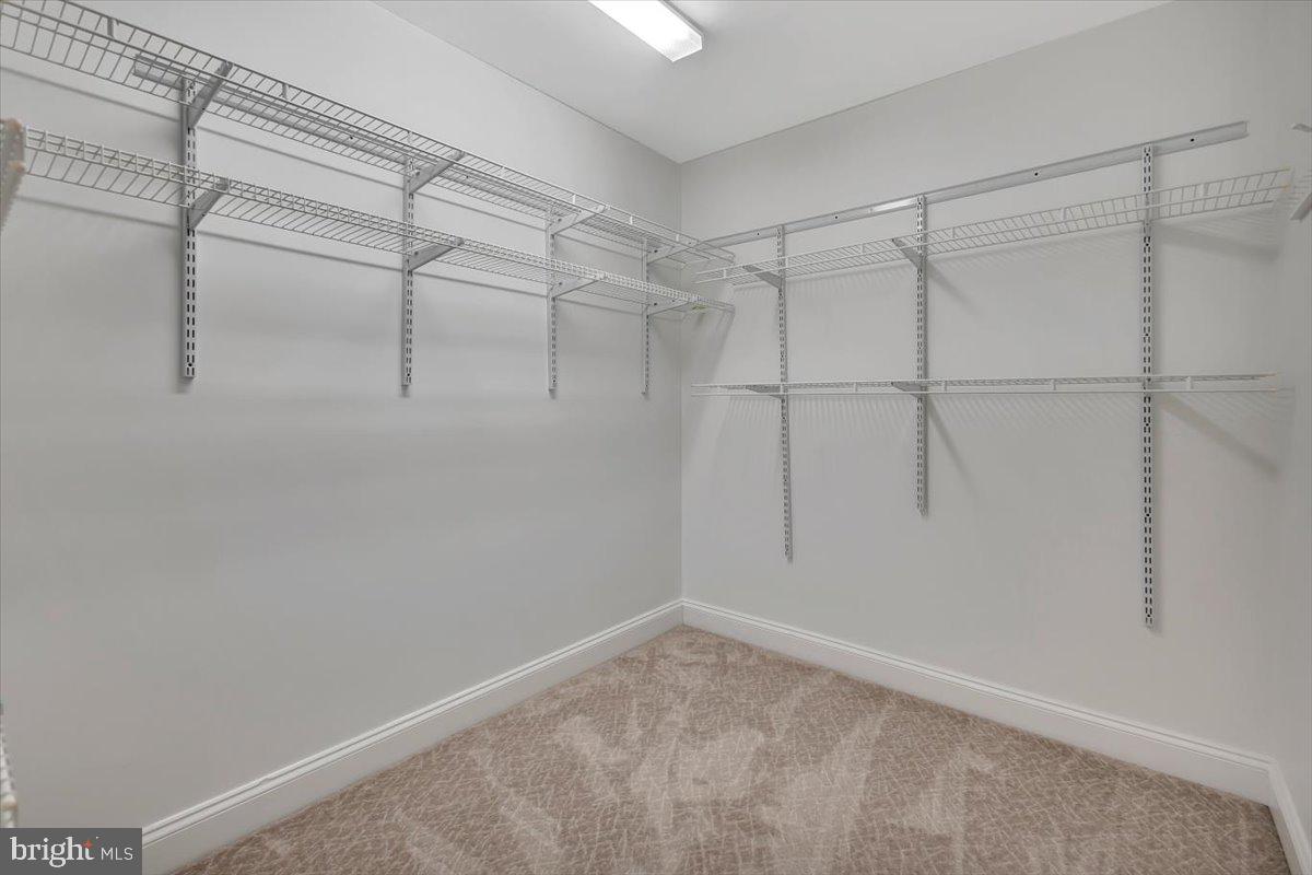 CLIVEDEN REACH - Residential