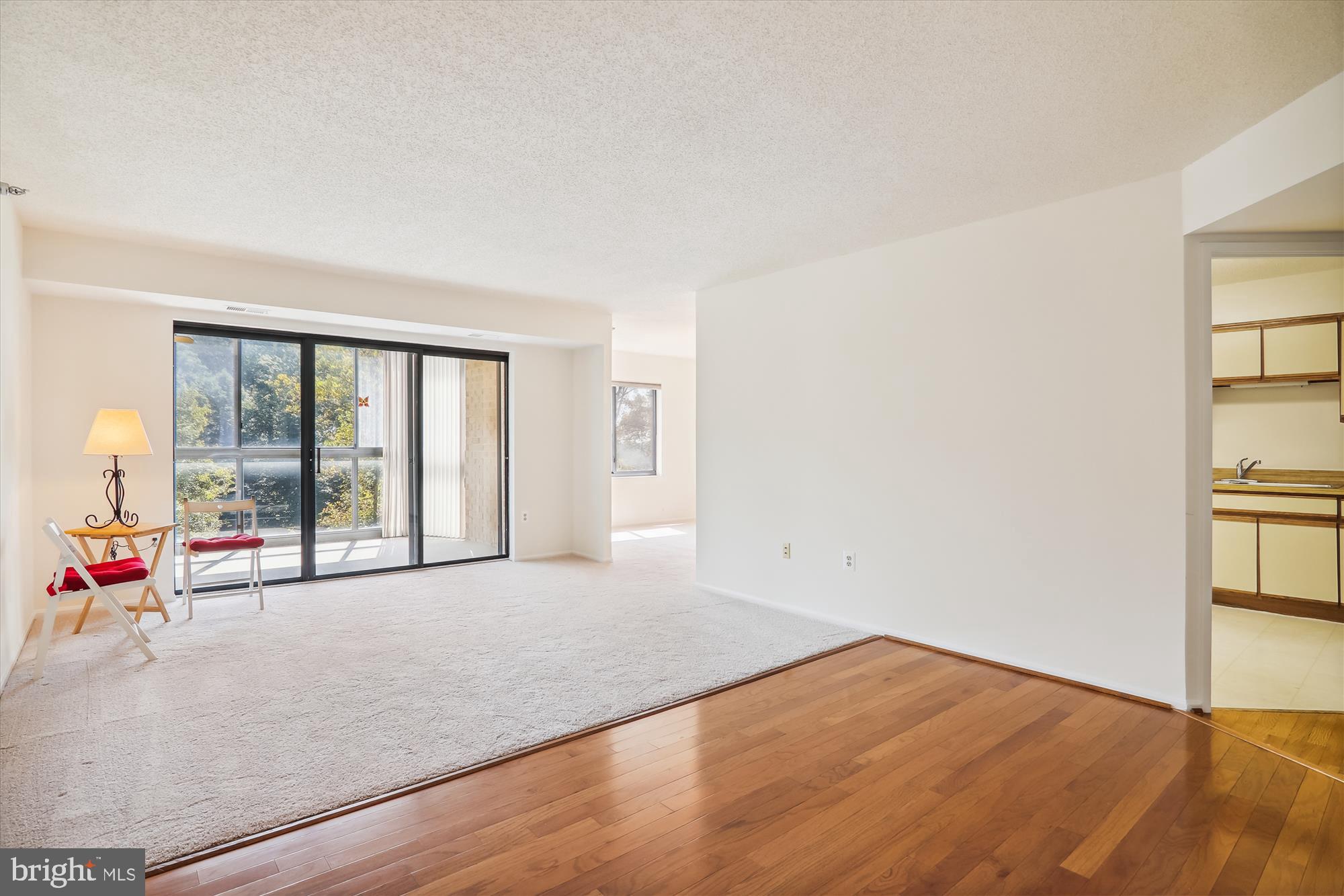 LEISURE WORLD - Residential