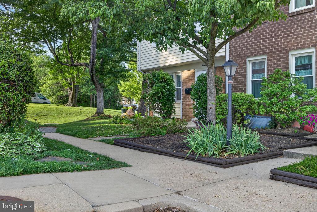 19 BIG ACRE SQUARE 20-1