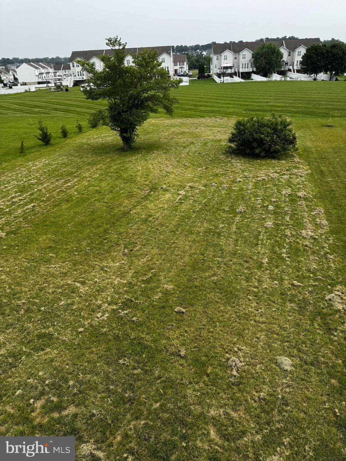 JACKSON HEIGHTS - Residential