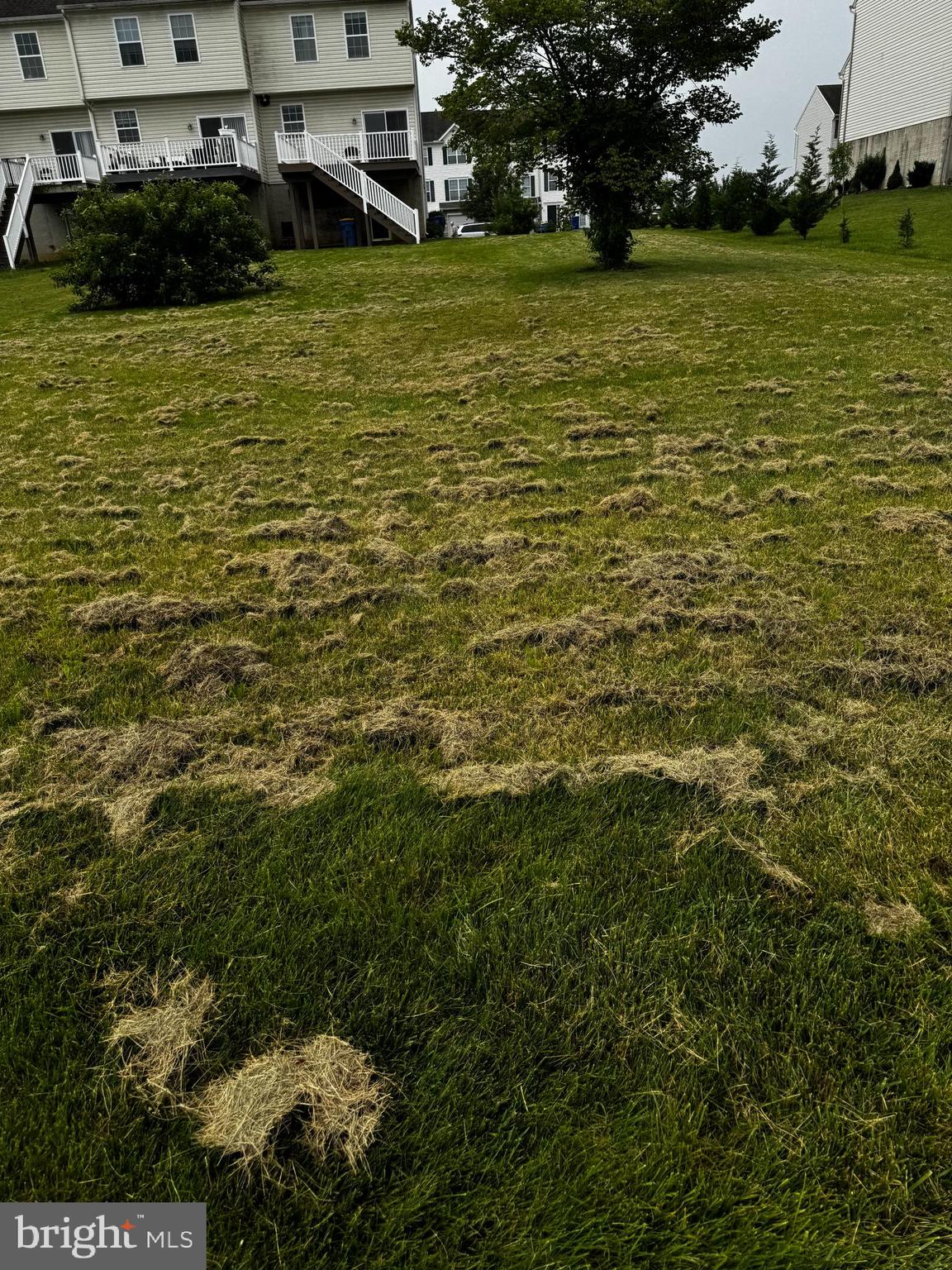 JACKSON HEIGHTS - Residential