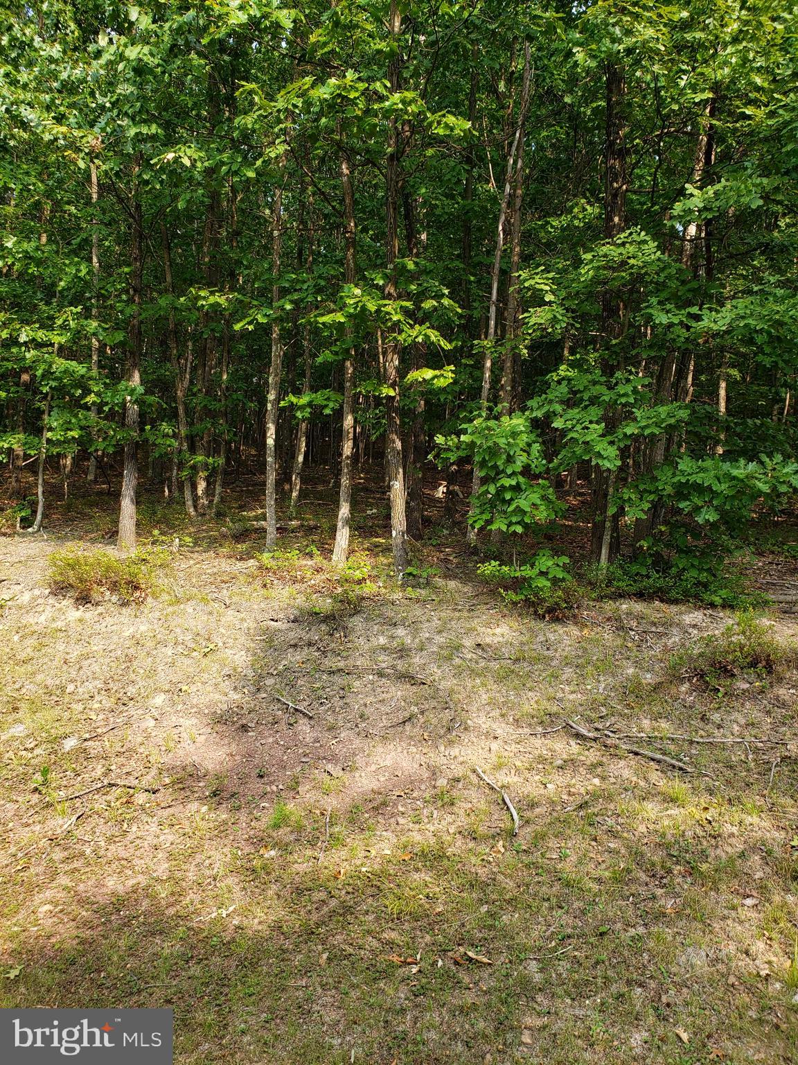 VALLEY HIGH TIMBER FARMS - Residential