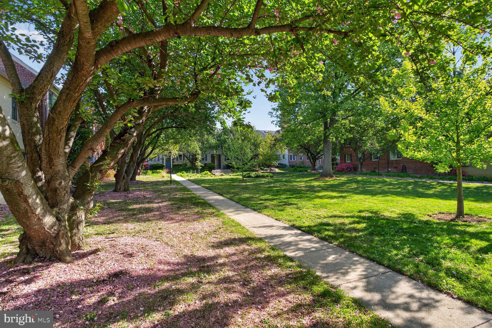 ROCK CREEK VILLAGE CONDOMINIUMS - Residential