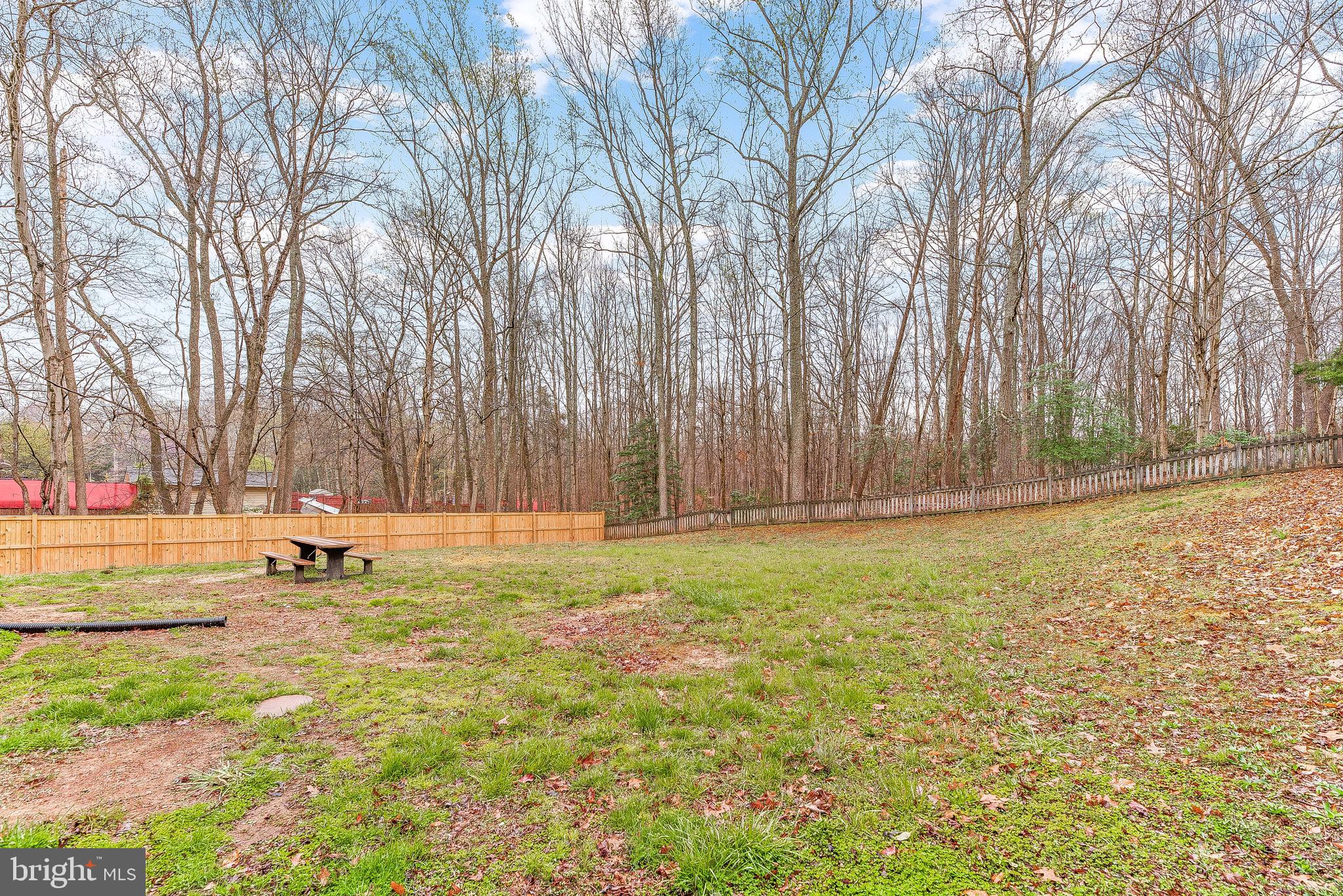 EUTAW FOREST - Residential