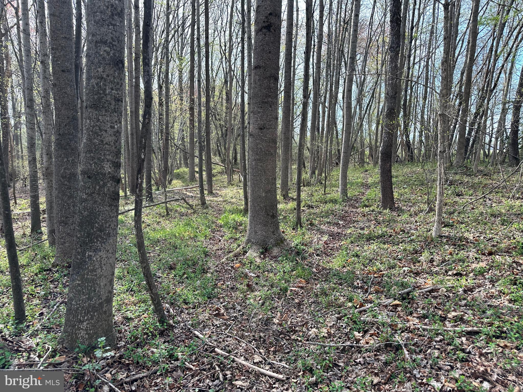 TRAPPE - Land