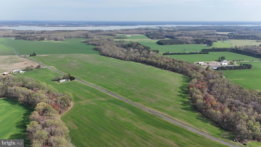 Prime 82.54± Acre Eastern Shore Farm With Tillable Ground And Hunting

This 82.54-acre property in Talbot County, Maryland, offers a highly desirable opportunity to own productive Eastern Shore farmland with strong agricultural value, recreational appeal, and future homesite potential. Situated in a well-regarded farming region, this tract offers a balanced combination of income-producing capability, land investment potential, and outdoor enjoyment. The property is zoned agricultural, allowing continued row-crop production, long-term land ownership, and flexibility for future use. A large portion of the acreage is tillable, supported by soils consisting primarily of Hambrook Sassafras complex and Ingleside sandy loam. These soil types are well known throughout the region for their productivity and drainage, making the farm suitable for consistent agricultural operations. In addition to its farming attributes, the property includes a smaller wooded section that enhances privacy, natural diversity, and wildlife habitat. This wooded section also includes a designated forest conservation area, as shown on the recorded plat. This area represents only a small portion of the overall property and contributes to long-term environmental stewardship while maintaining the farms overall usability and value. Portions of the property were previously enrolled in CRP, offering the potential to further utilize income-producing opportunities on the property while continuing current agricultural practices. The property benefits from excellent access and layout, with road frontage along Bambury Road on the eastern boundary and Kates Point Road along the northern boundary. This dual frontage provides convenient entry points and supports efficient movement for farming operations. A drainage and utility easement is present on the property, typical for farms in the area near county roads, and does not detract from its overall usability. From a recreational standpoint, this property offers exceptional hunting potential. The combination of productive tillable ground, natural edge habitat, and surrounding agricultural landscape creates an ideal environment for attracting and holding whitetail deer and migratory geese. The property has a strong history of producing quality whitetail deer, with the area known for harvesting mature bucks. The layout supports multiple stand and blind locations, allowing for effective setups across different wind directions and seasons. The property also offers strong potential for a future homesite, making it an excellent option for those looking to build a private residence, farmhouse, or retreat surrounded by productive farmland and natural beauty. This blend of usability, privacy, and location creates an appealing setting for both investment and lifestyle buyers. For buyers seeking expansion, this tract is also available in combination with the adjacent 90-acre home farm, creating the potential for a larger, contiguous farming operation with additional improvements. This Talbot County property offers a rare combination of productive farmland, recreational value, and long-term potential in one of Marylands most sought-after rural regions.

Property taxes shall be based on the acreage as determined by the Buyer’s survey and the acreage conveyed. Taxes will be prorated proportionally from the total parent tract of 582 acres.